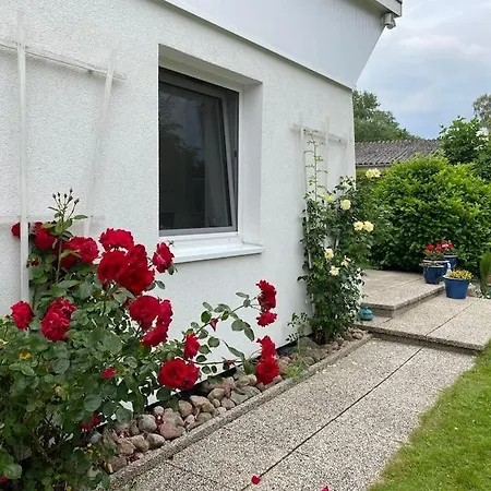 Dom wakacyjny Ferienbungalow Sol